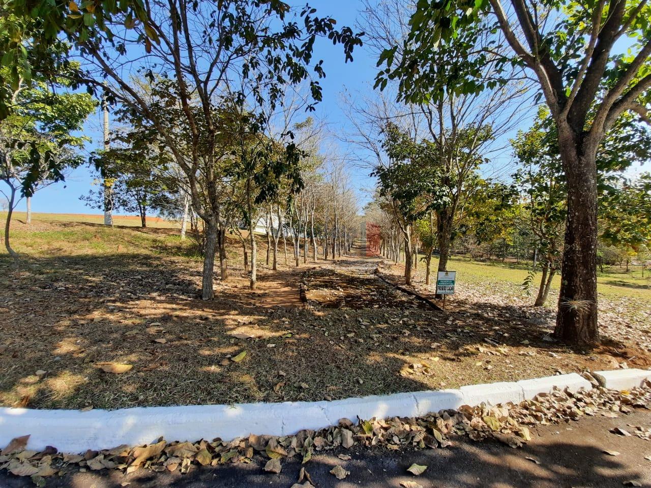 Lote em condomínio à venda no Chácara SÃO Felix: 