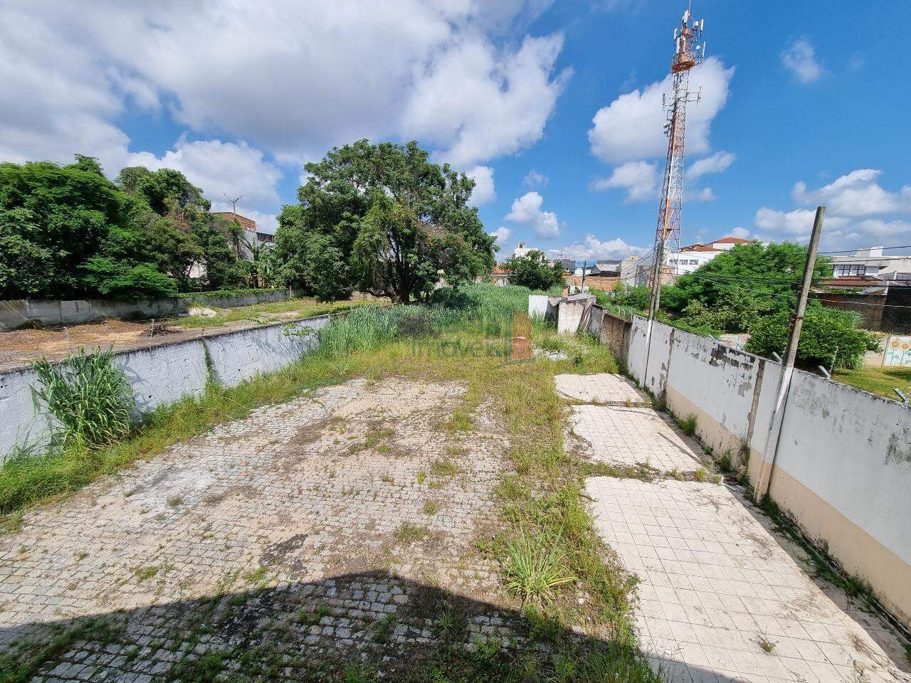 Comercial para aluguel no Parque São Benedito: 