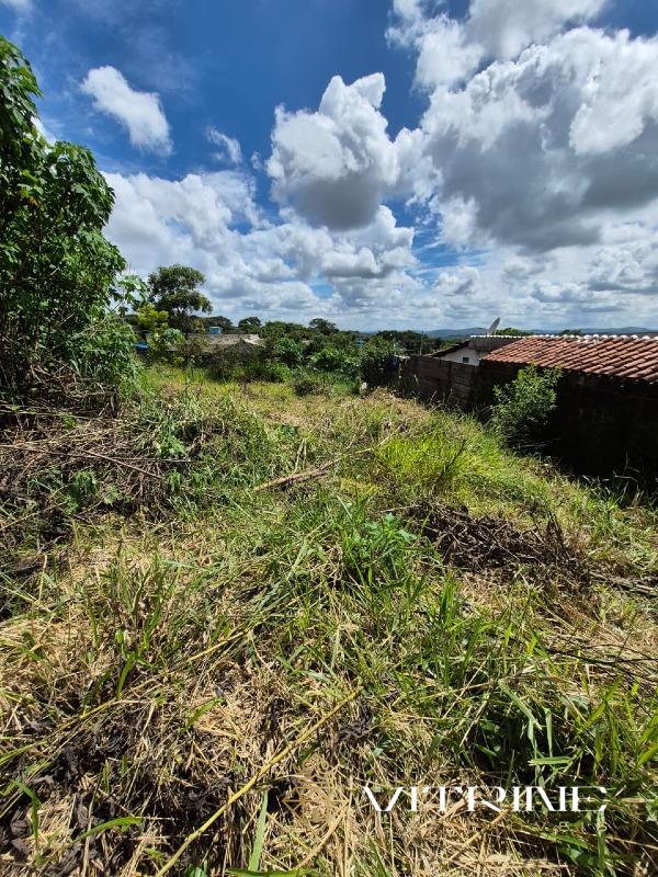Lote à venda no Santa Lucia : 