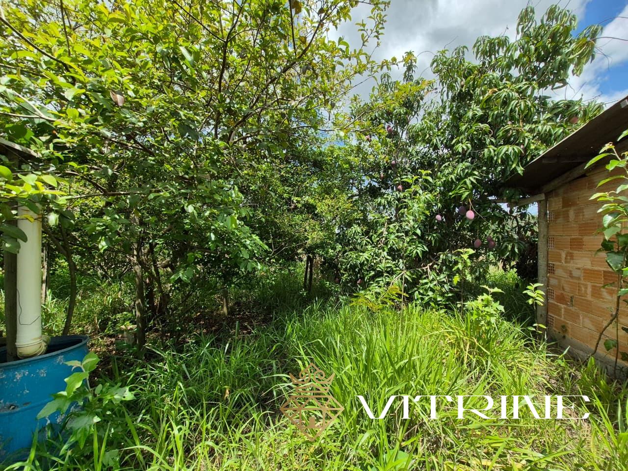 Chácara à venda no São Sebastião do Oeste: 