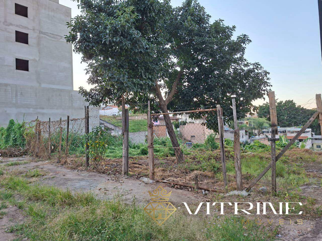 Lote à venda no Bela Vista : 