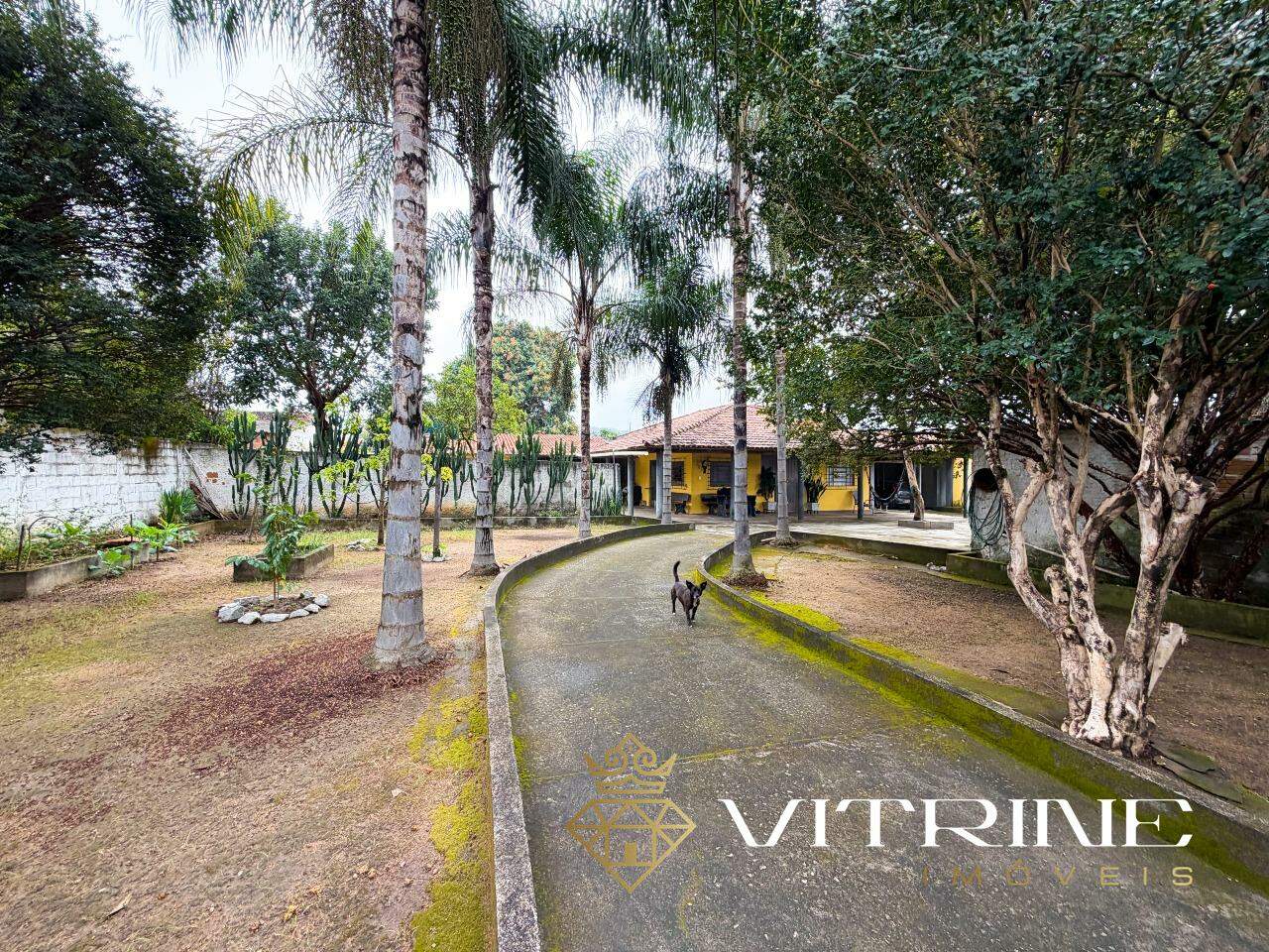 Casa à venda no Candelaria: 