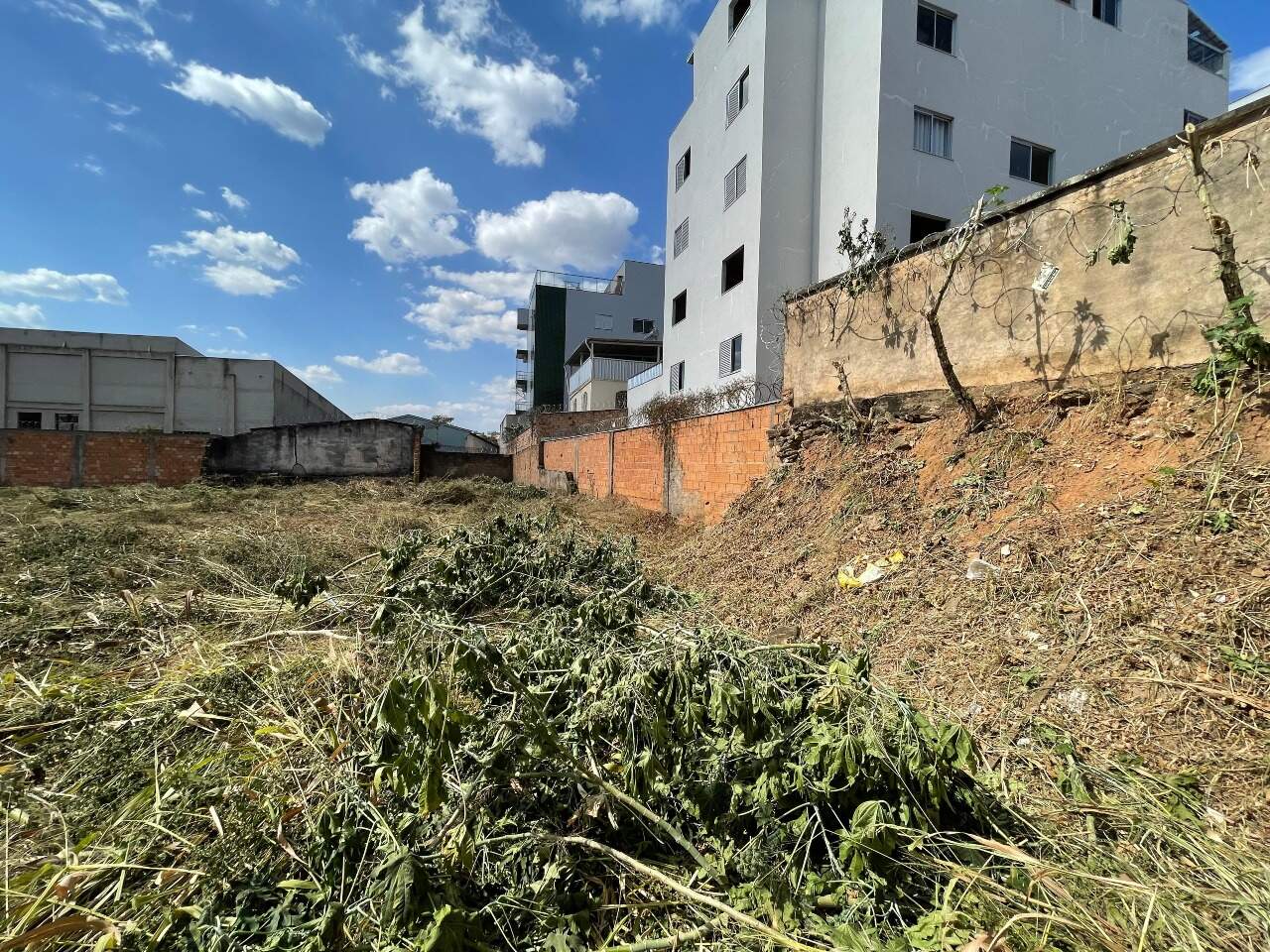 LOTE para aluguel no CENTRO: 