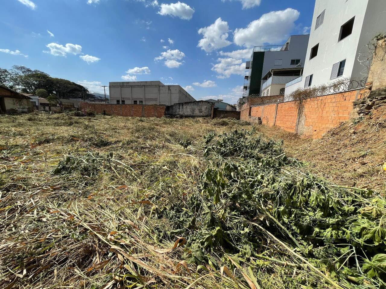 LOTE para aluguel no CENTRO: 