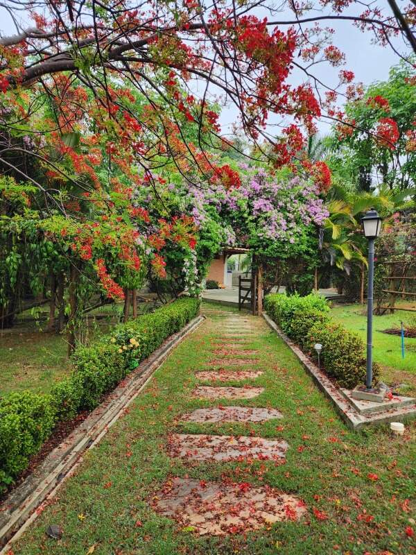 Casa em Condomínio à venda no Condomínio Alphaville II: 