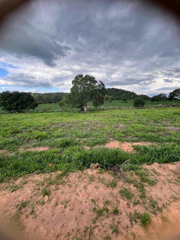 CHACARA à venda no PAULAS (ZONA RURAL): 