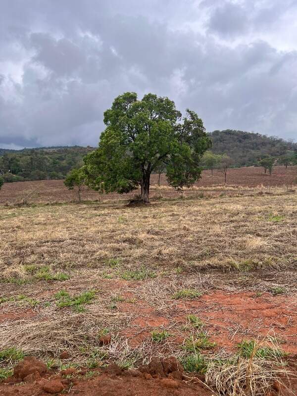 CHACARA à venda no PAULAS (ZONA RURAL): 