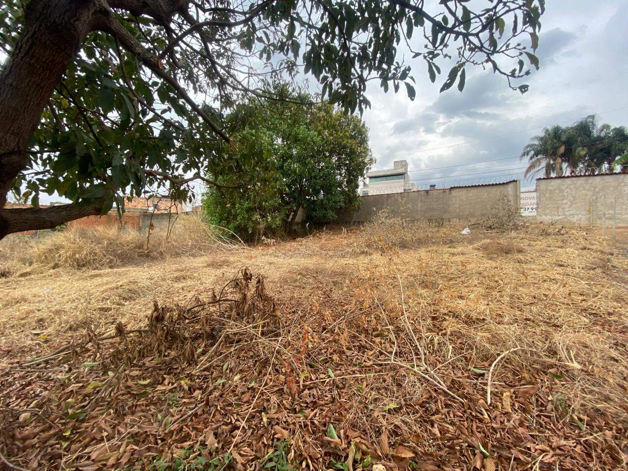 LOTE à venda no AEROPORTO: 