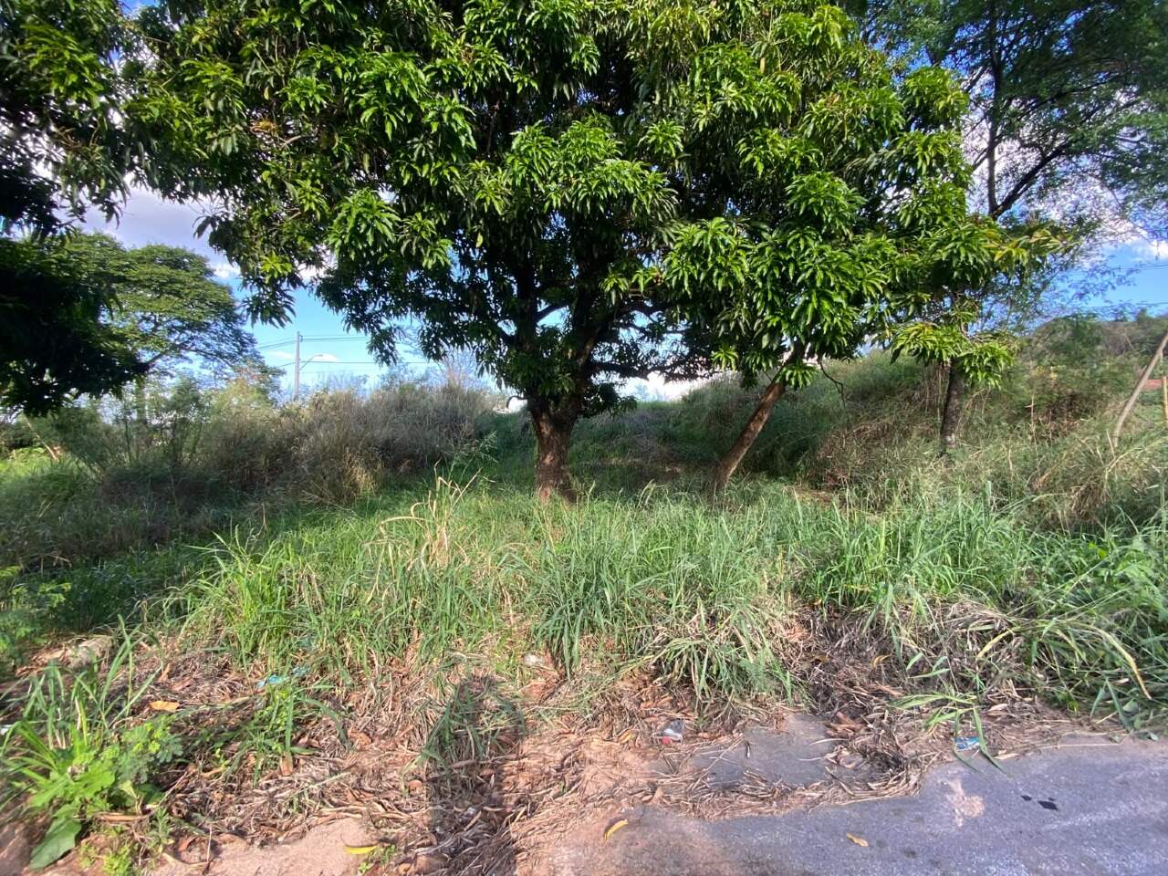 LOTE à venda no VILA DA SERRA: 