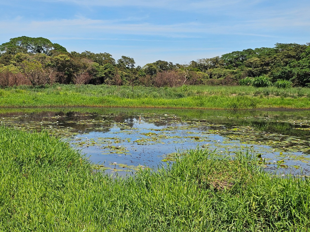 CHACARA à venda no BREJO ALEGRE (ZONA RURAL): 