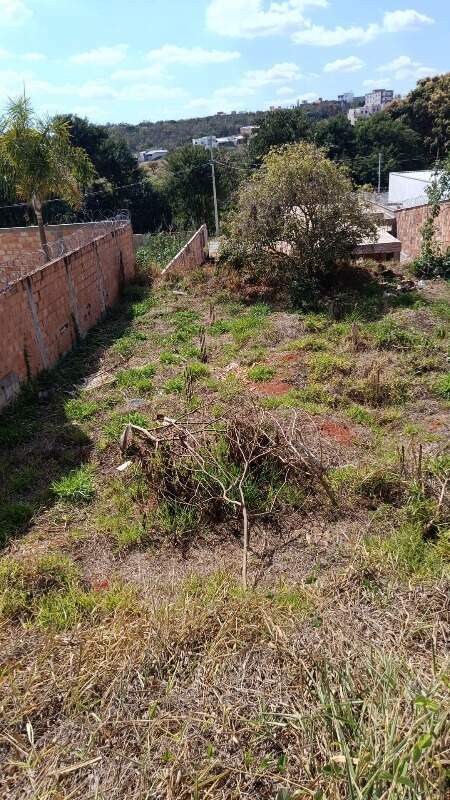 LOTE à venda no GODOFREDO GONÇALVES: 