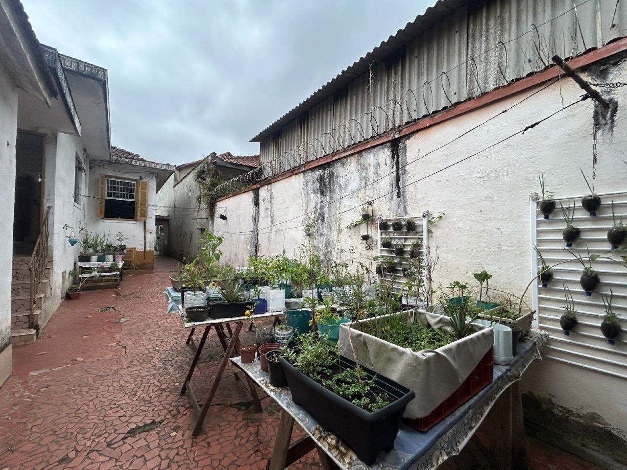 Casa à venda, 3 quartos, 5 vagas, Vila Belmiro - Santos/SP em Vila Belmiro, Santos — foto 14