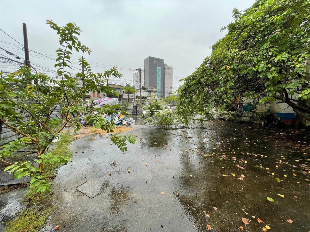 Terreno a venda em Santos ! em Paquetá, Santos — foto 6