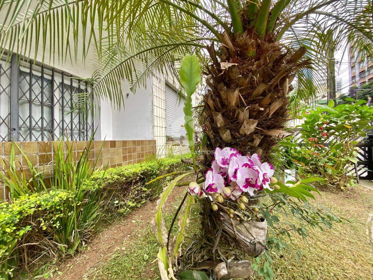 Apartamento 2 Dormitórios, Vista Livre e Garagem Coletiva no Boqueirão - Santos SP em Boqueirão, Santos — foto 14