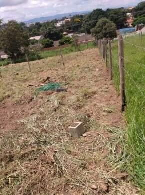 Terreno à venda no Trevo: 