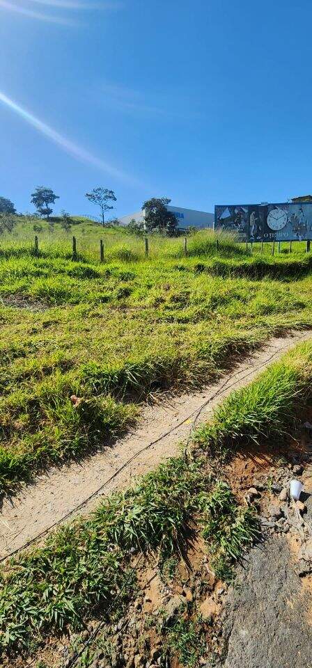 Terreno Industrial à venda no Chácara Cotia: 