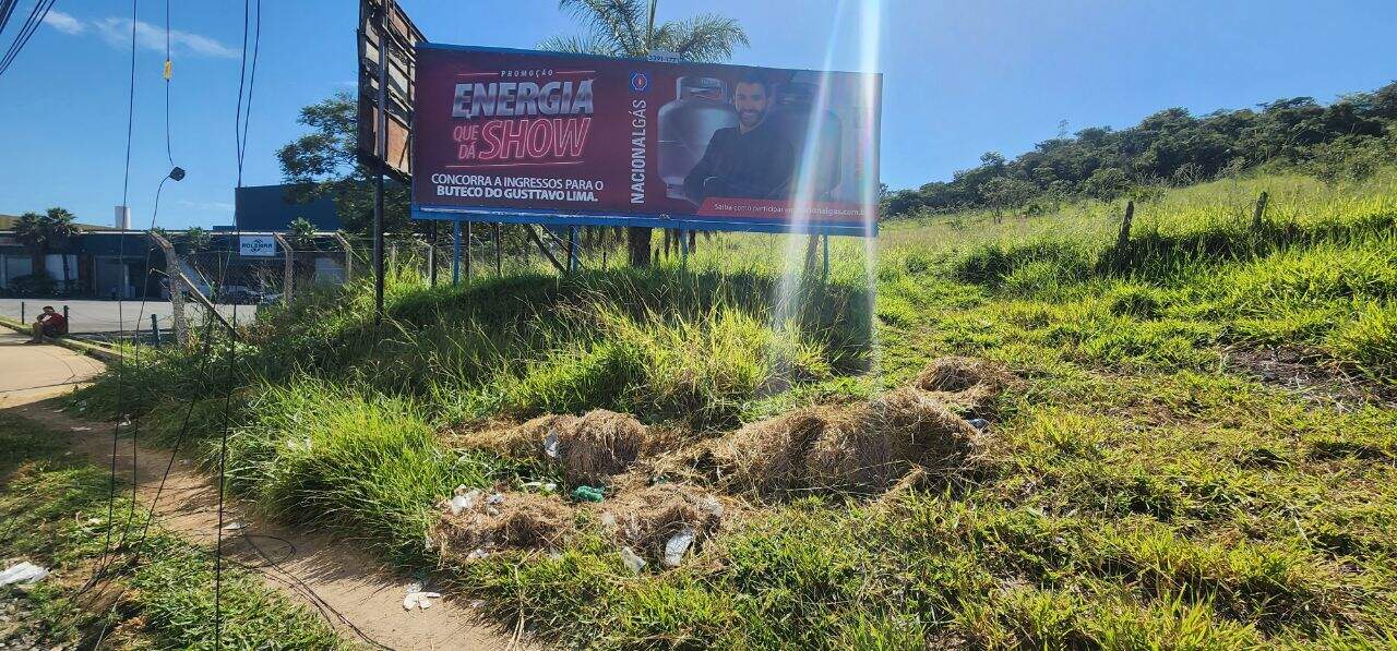 Terreno Industrial à venda no Chácara Cotia: 