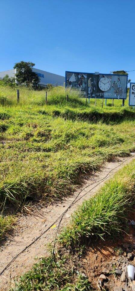 Terreno Industrial à venda no Chácara Cotia: 