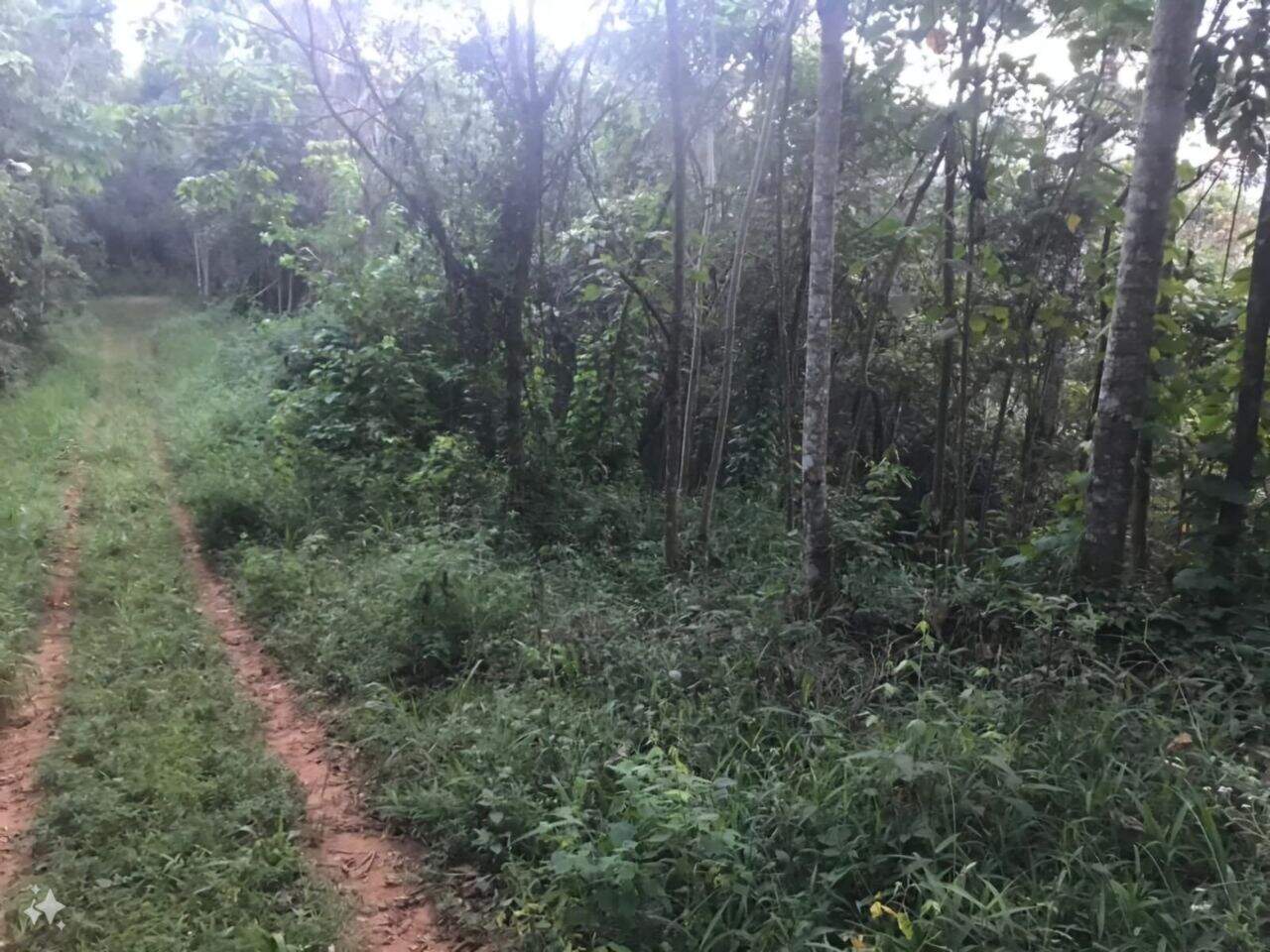 Lotes em condomínio à venda no Jardim Petropolis: 