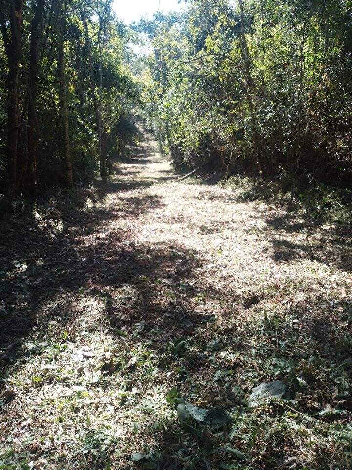 Lotes em condomínio à venda no Jardim Petropolis: 