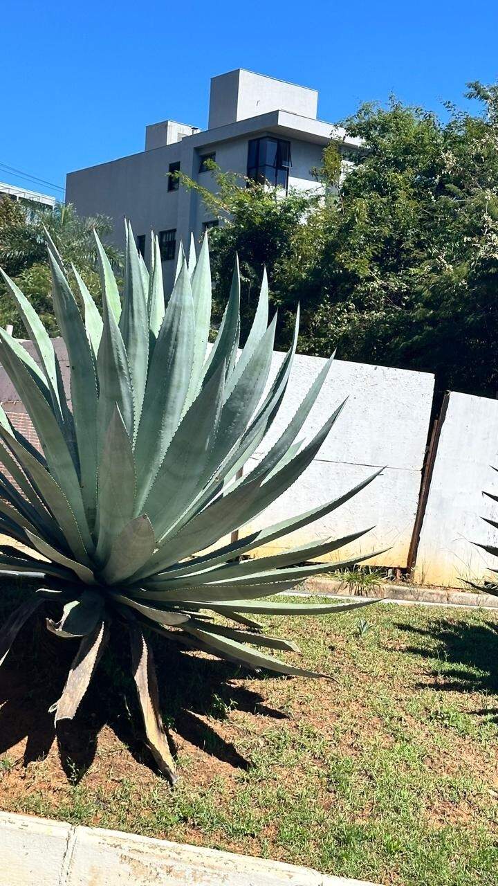 Lotes em condomínio à venda no Portal Do Sol: 