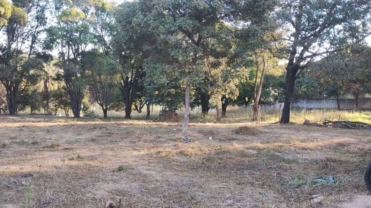 Lotes à venda no Garças: 