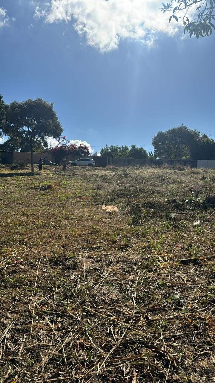 Lotes à venda no Garças: 