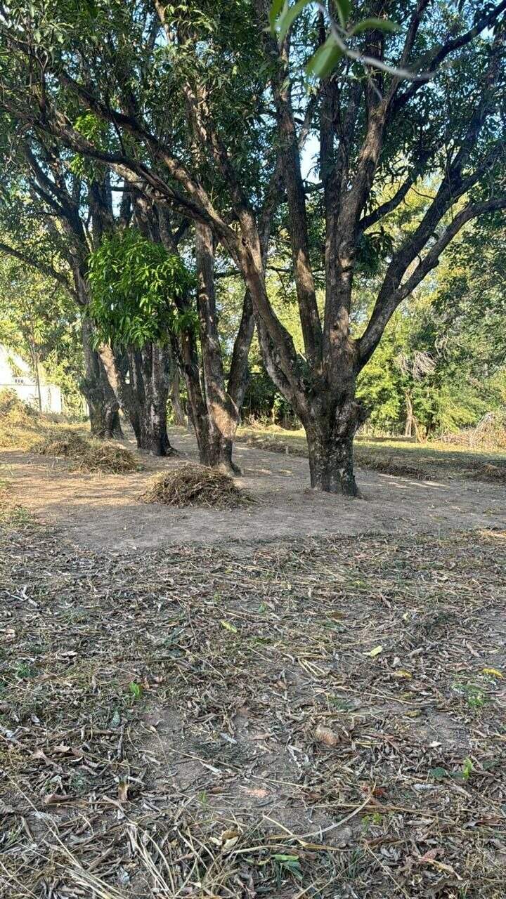 Lotes à venda no Garças: 