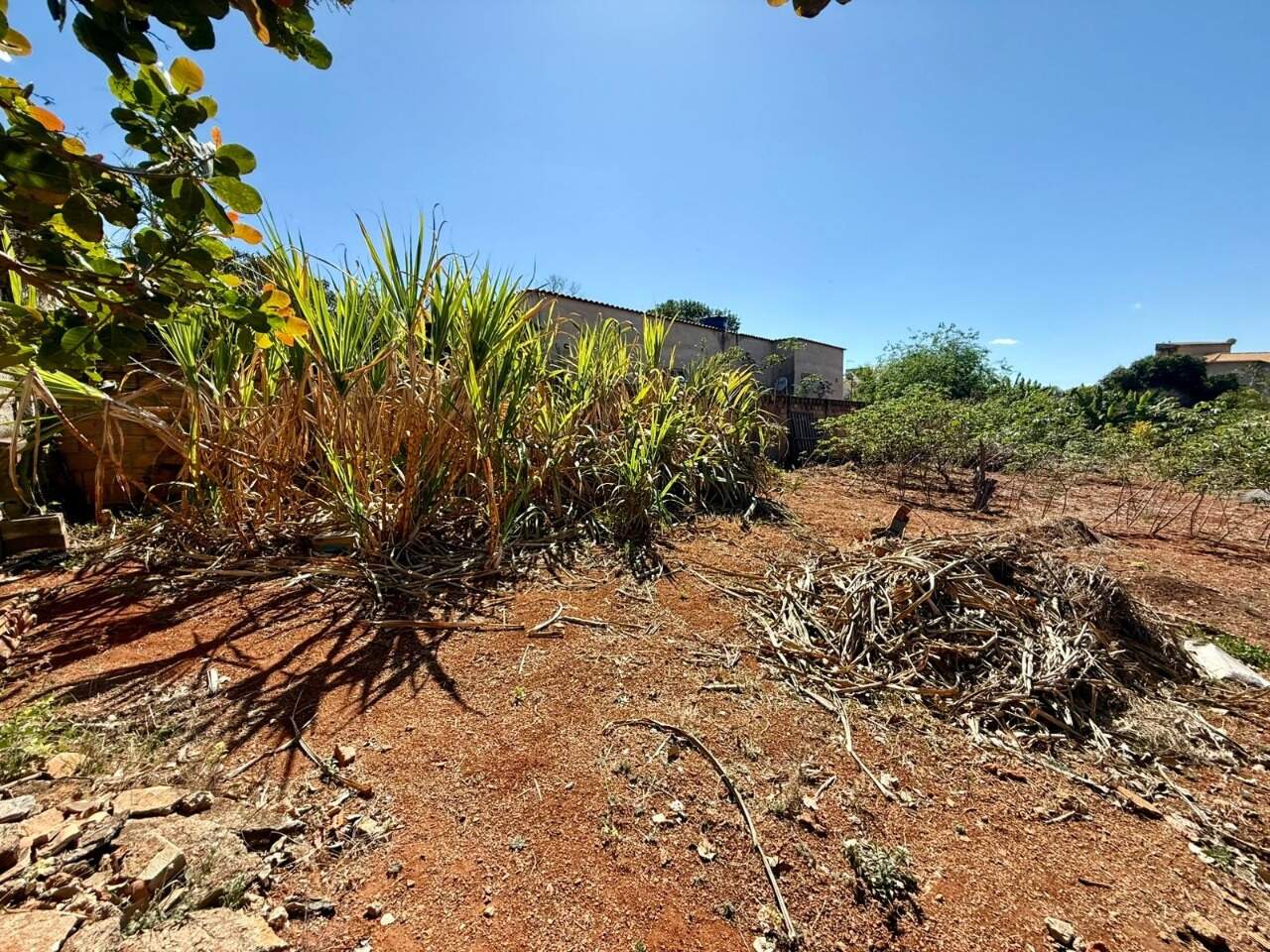 Lotes à venda no Lagoa Mansões: 