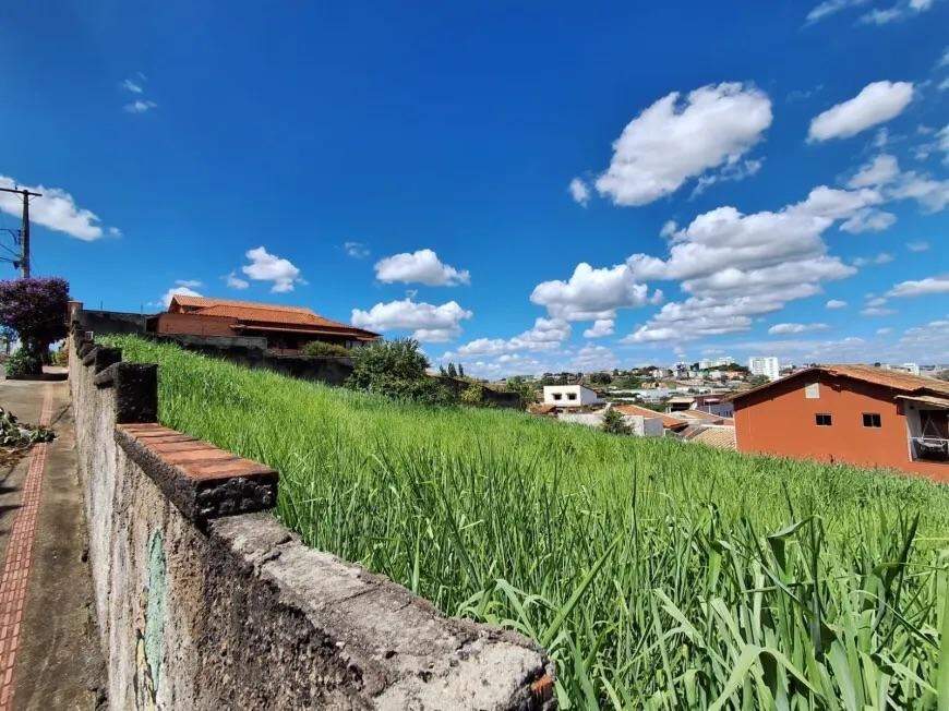 Lotes à venda no São Bernardo: 6