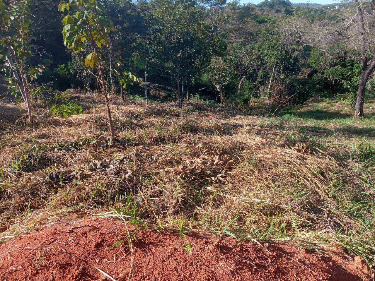 Lotes em condomínio à venda no Recanto Do Poeta: 