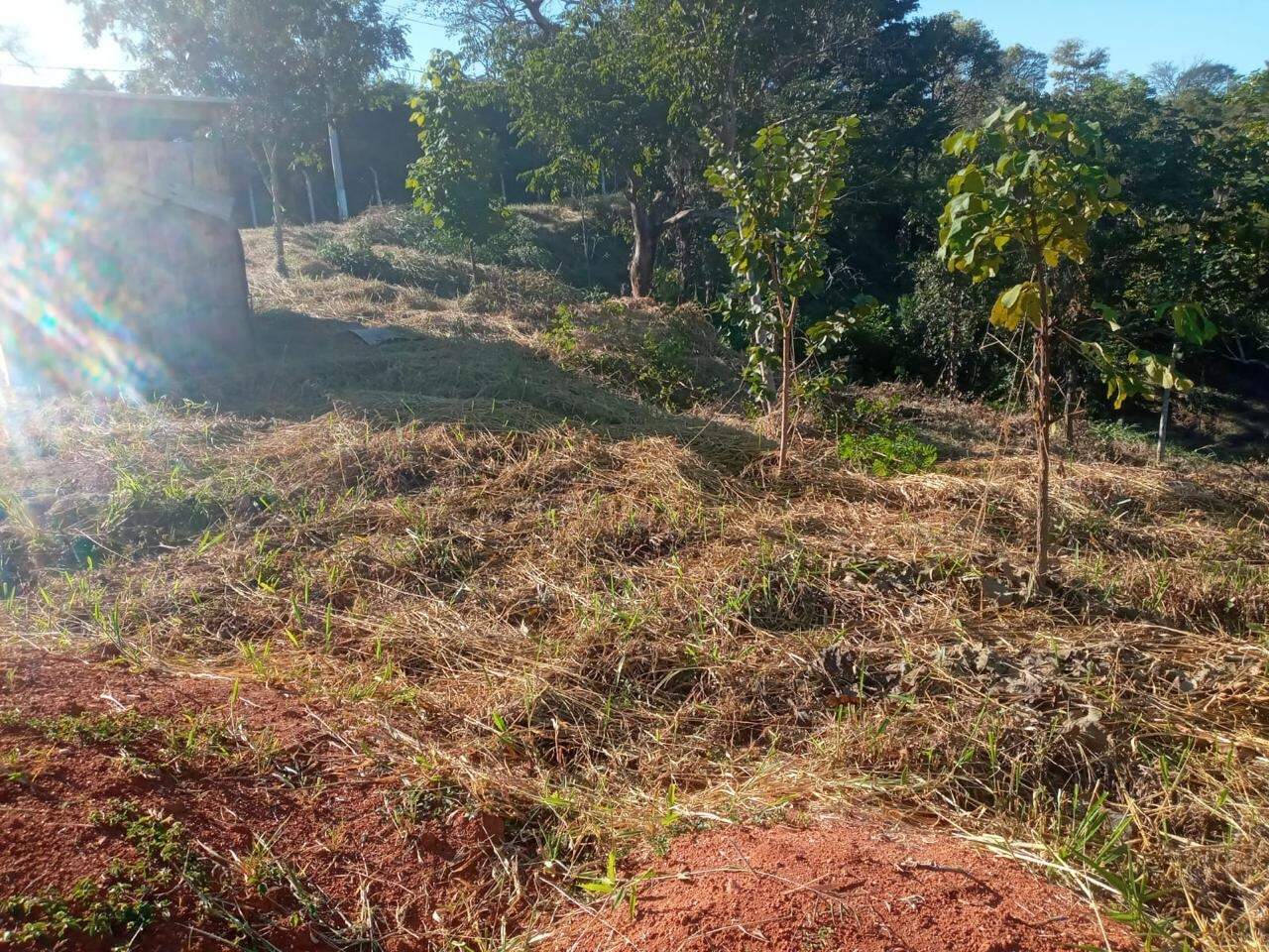Lotes em condomínio à venda no Recanto Do Poeta: 