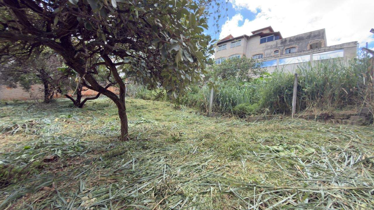 Lotes à venda no Paquetá: 