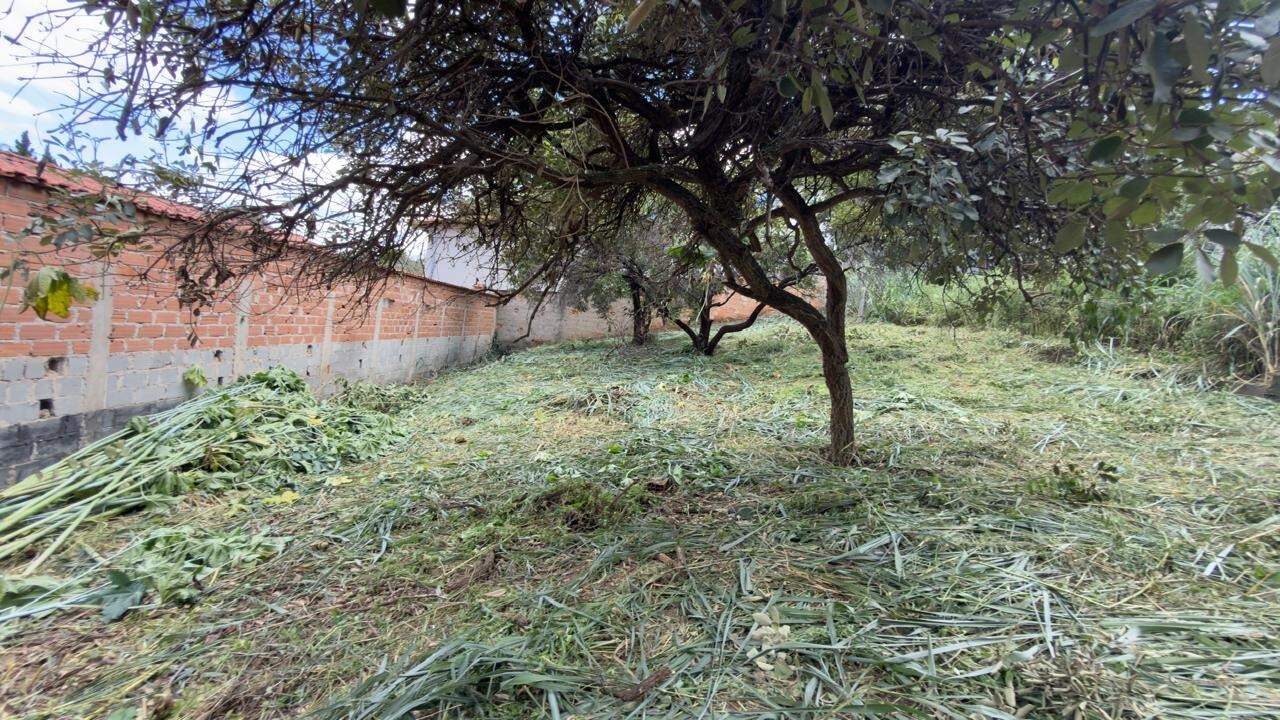 Lotes à venda no Paquetá: 