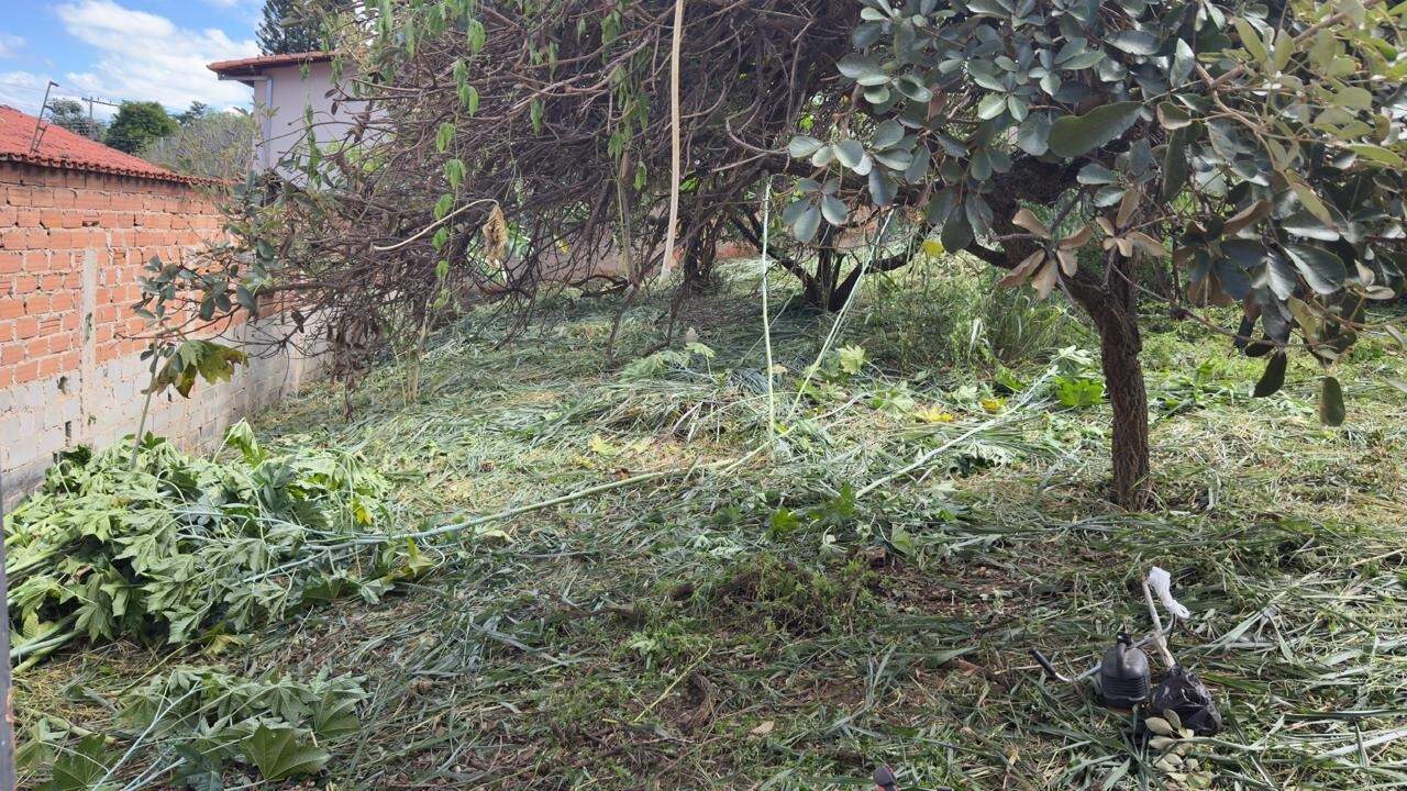 Lotes à venda no Paquetá: 