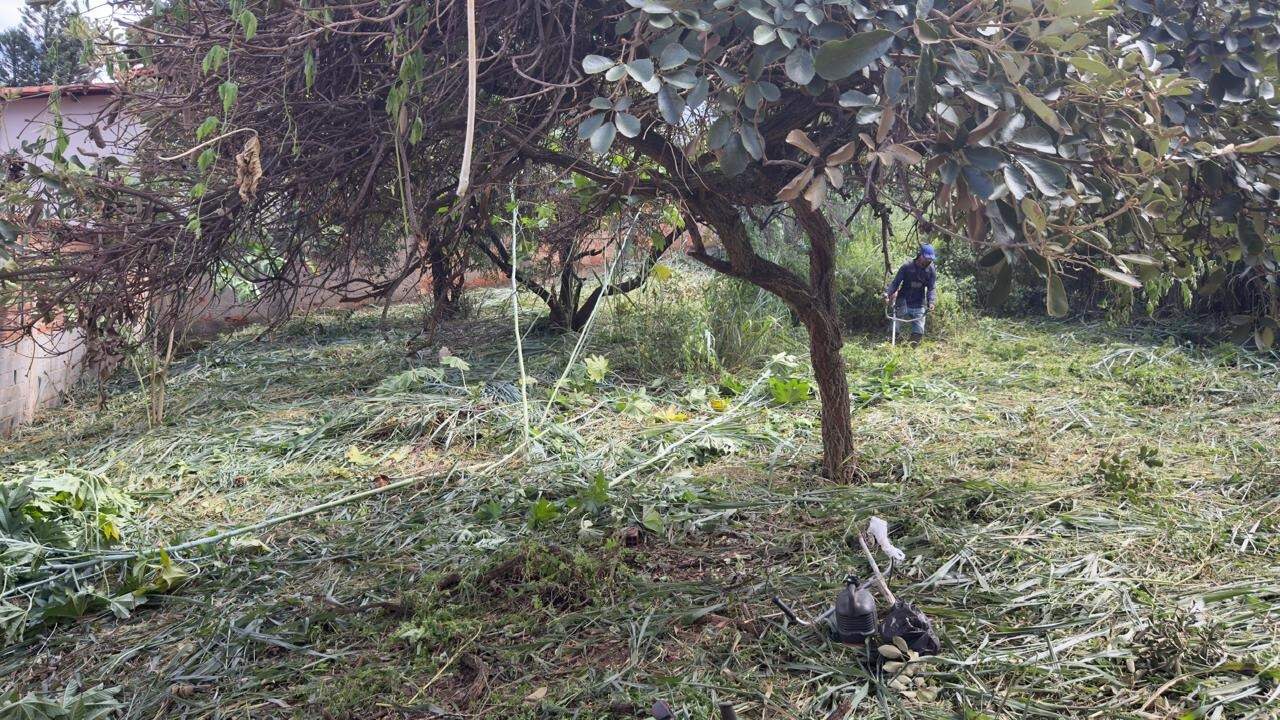 Lotes à venda no Paquetá: 
