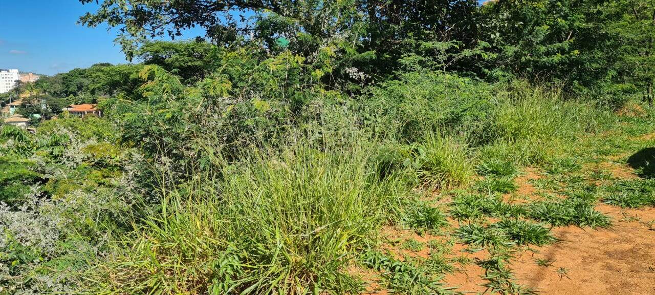 Lotes em condomínio à venda no Portal Do Sol: 