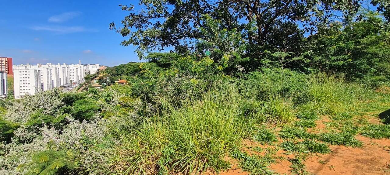 Lotes em condomínio à venda no Portal Do Sol: 