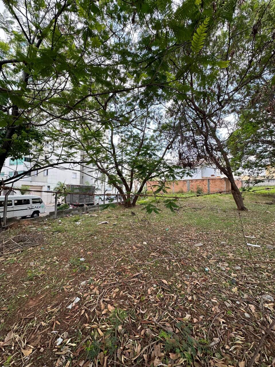 Terreno para aluguel no Castelo: 