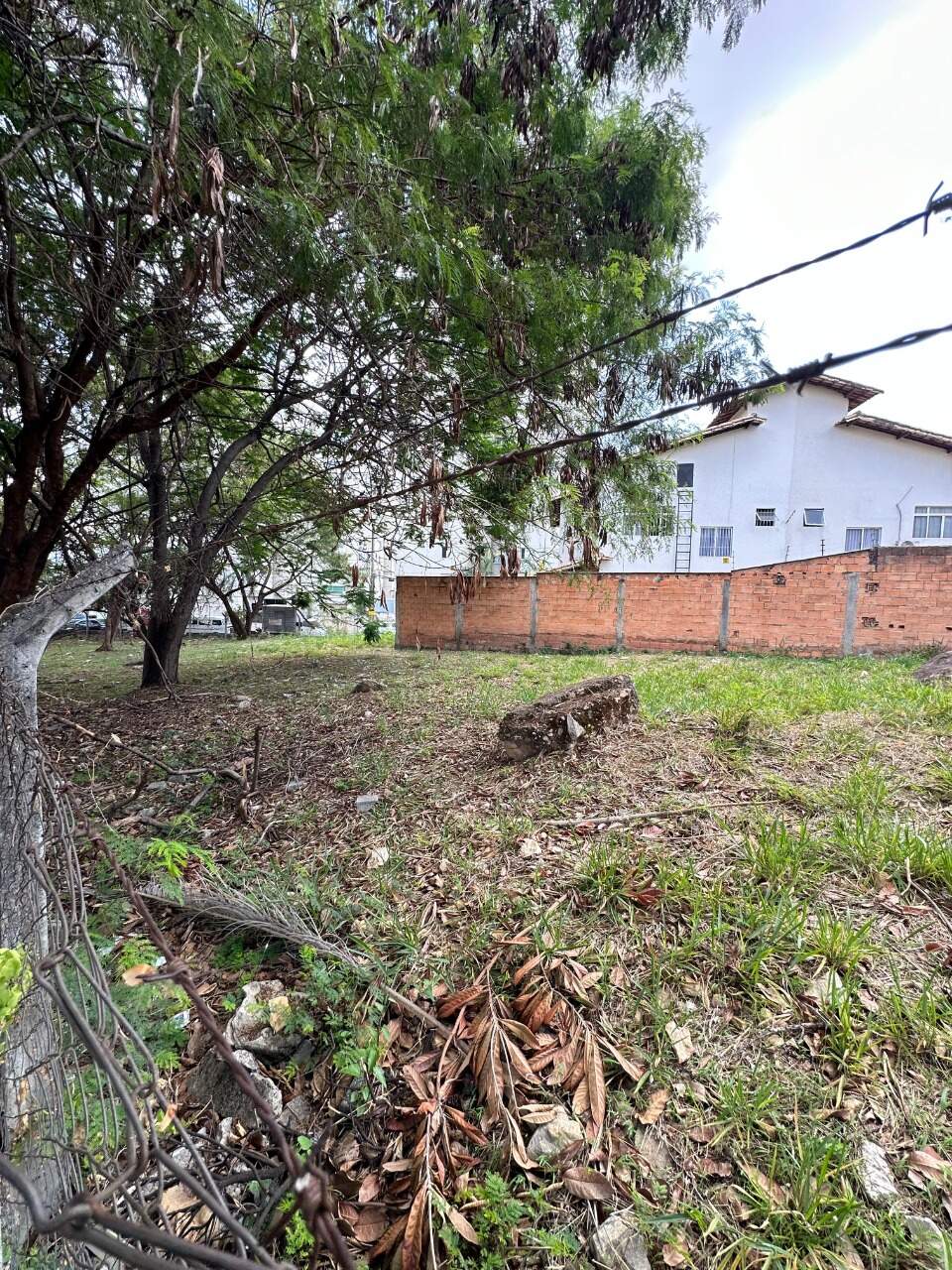 Terreno para aluguel no Castelo: 