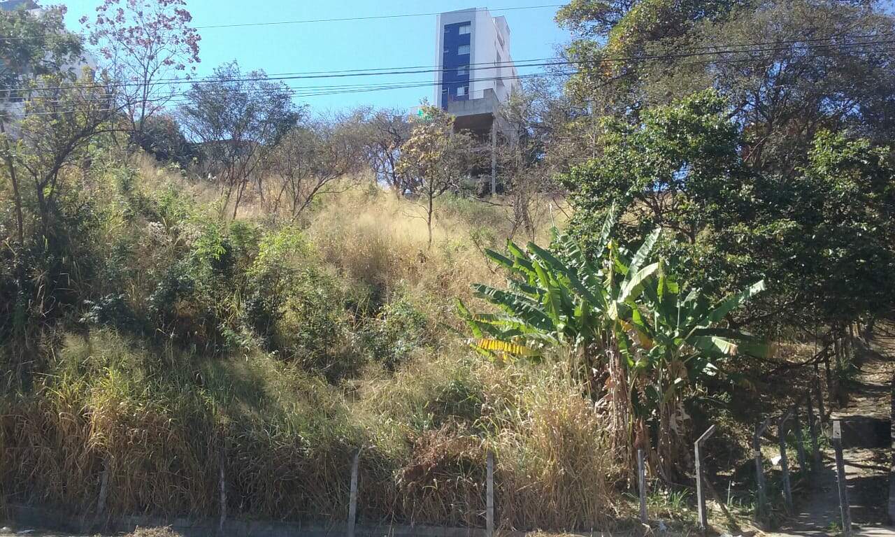 Terreno à venda no Ouro Preto: 