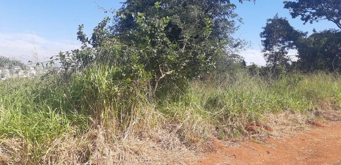 Lotes em condomínio à venda no Portal Do Sol: 