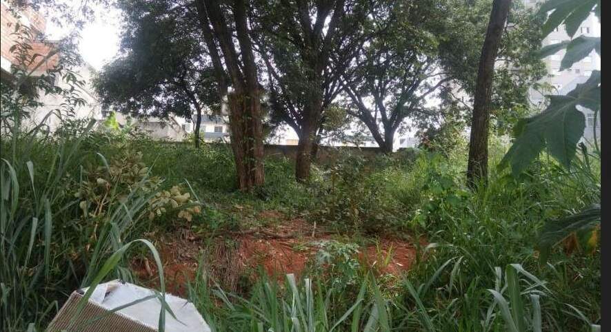 Terreno à venda no Manacás: 