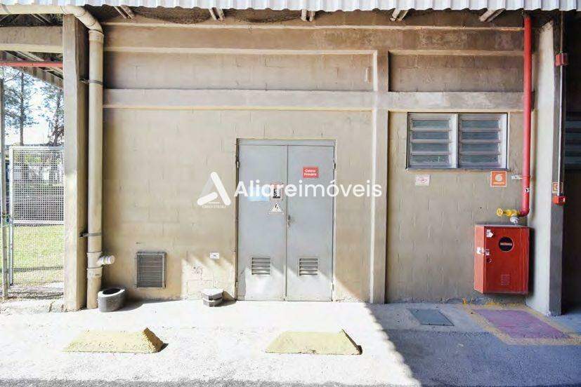 Depósito-Galpão-Armazém para alugar, 62006m² - Foto 6