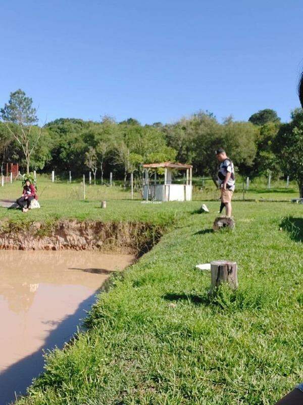 Fazenda à venda com 5 quartos, 500m² - Foto 12