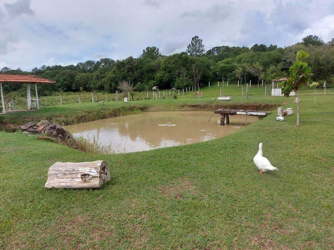 Fazenda à venda com 5 quartos, 500m² - Foto 10