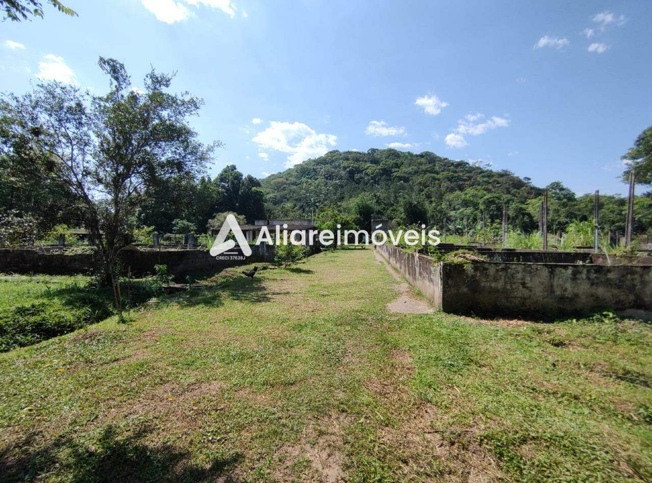 Fazenda à venda com 3 quartos, 250m² - Foto 13