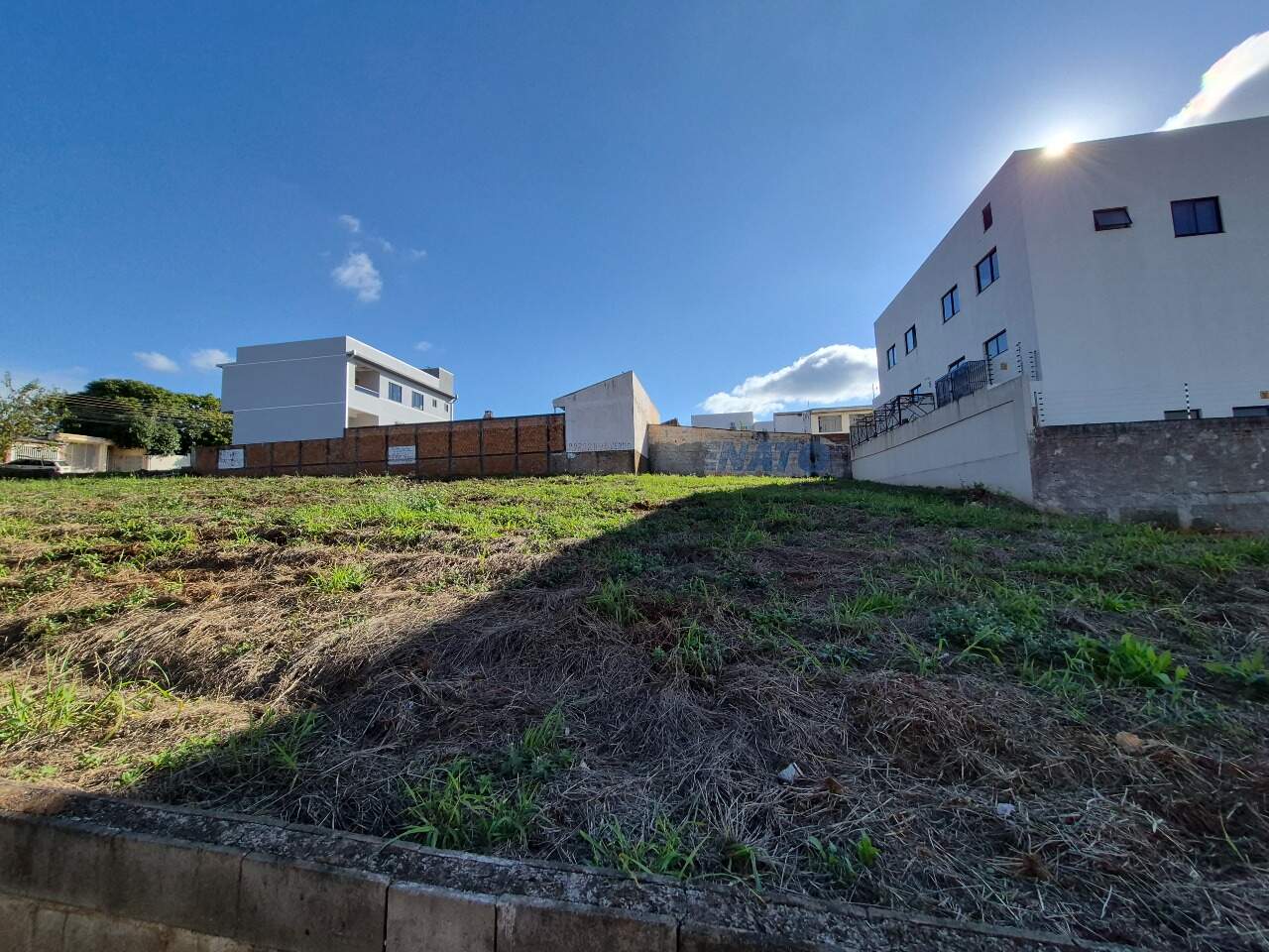 Terreno para aluguel no Santa Cruz: 