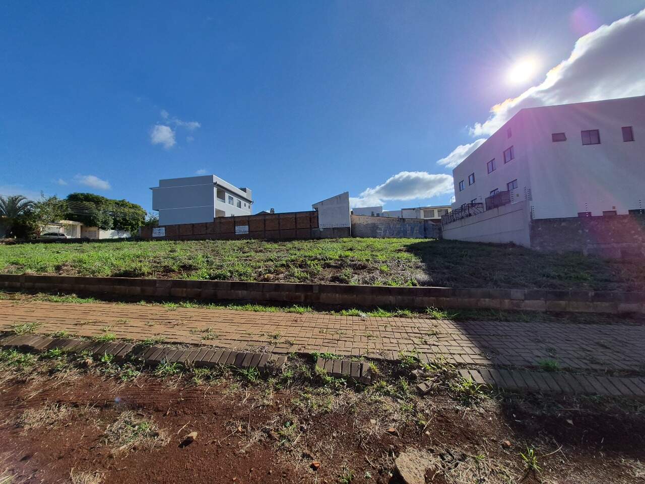 Terreno para aluguel no Santa Cruz: 