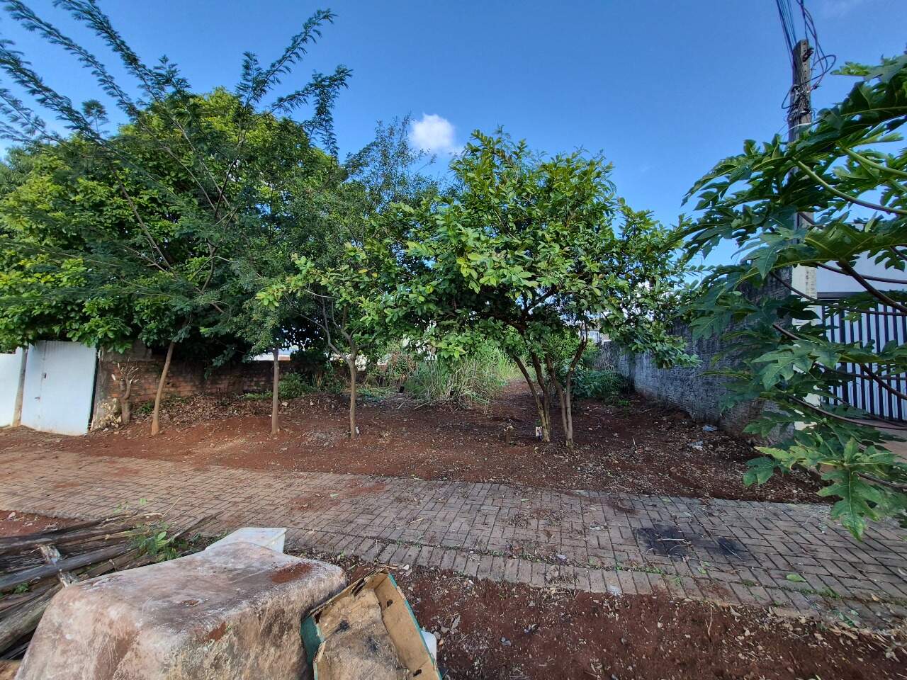 Terreno para aluguel no Santa Cruz: 